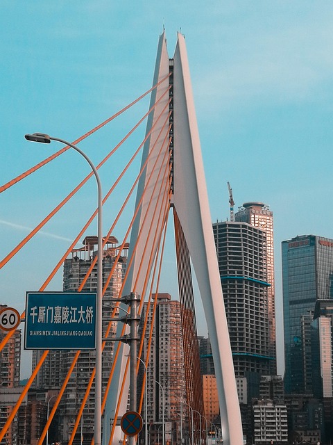 sightseeing tour