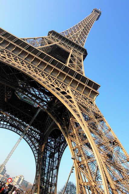 Sightseeing Tours