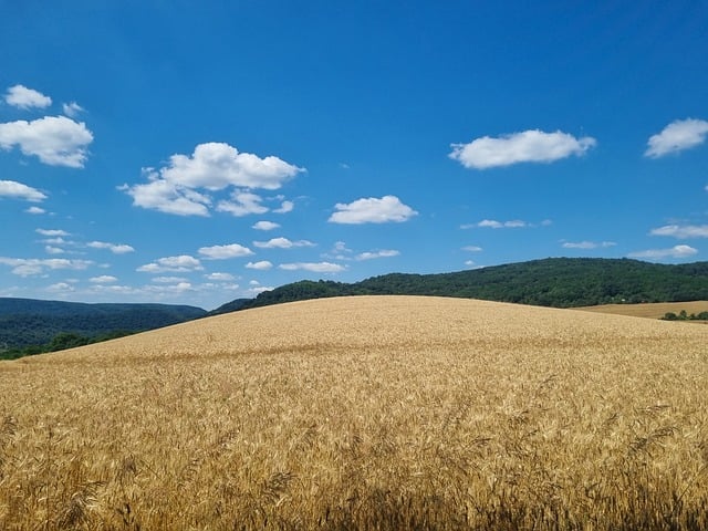Sky Experience