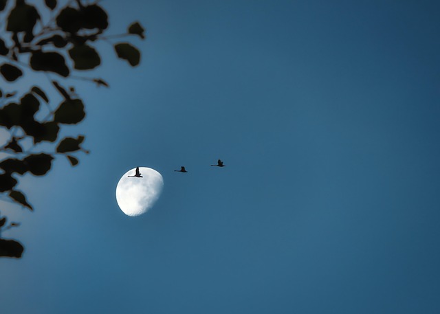 Sky Experience