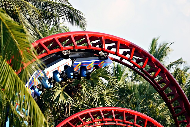 Sky Rides