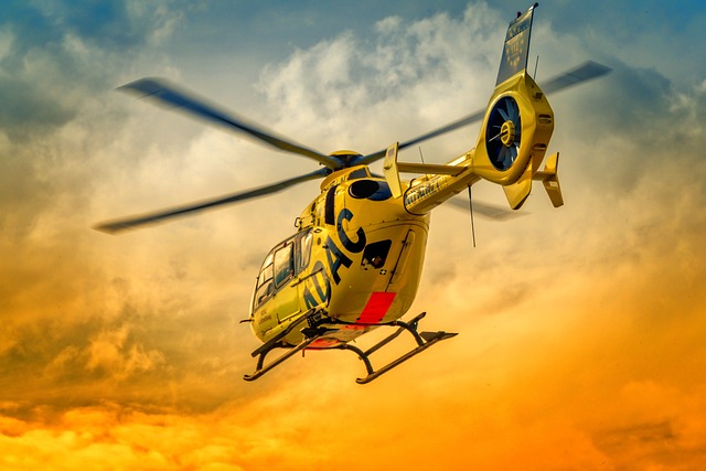 Skyline Helicopter