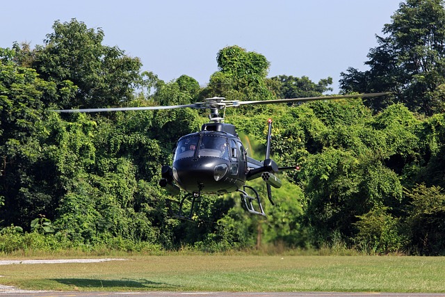 Skyline Helicopter