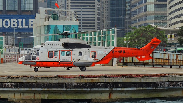 Skyline Helicopter