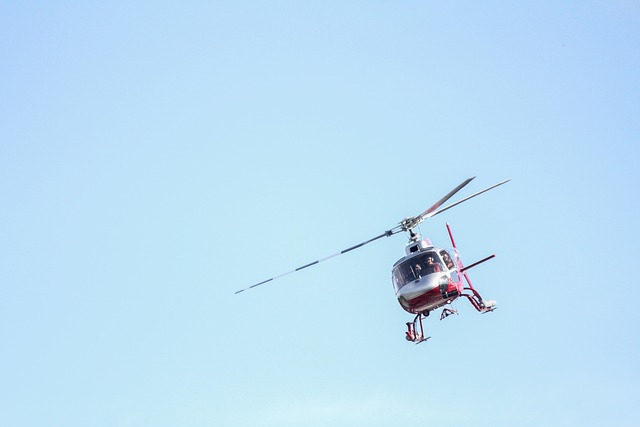 Skyline Helicopter