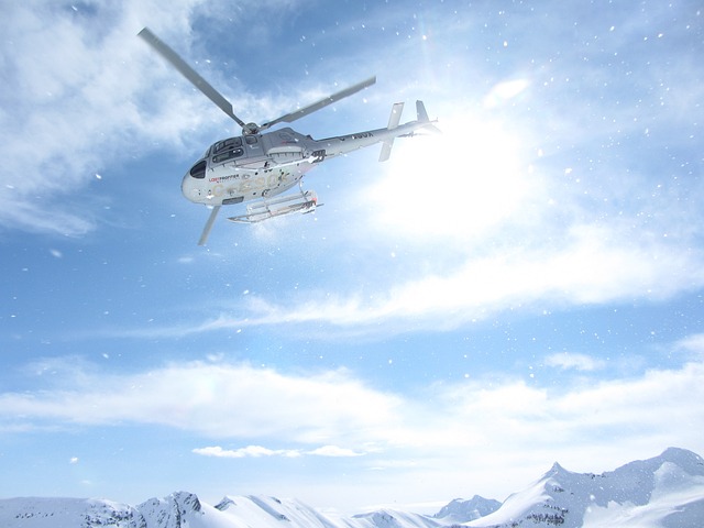 Skyline Helicopter
