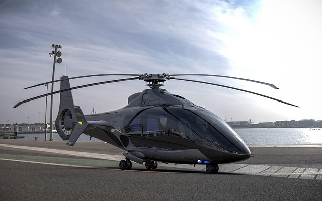 Skyline Helicopter