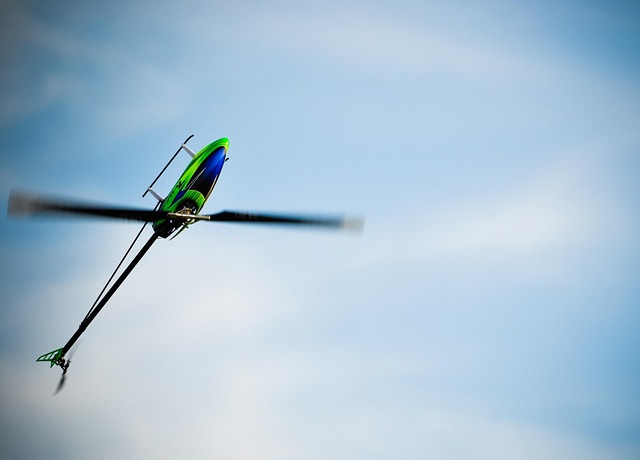 Skyline Helicopter