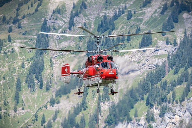 Skyview Helicopter