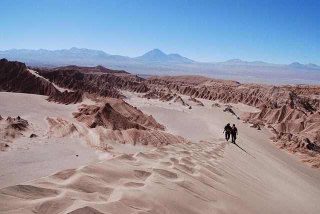 Team-Building Desert