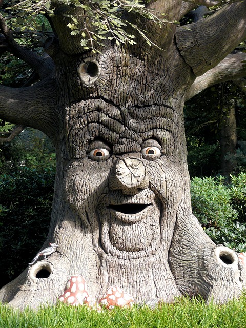 theme park