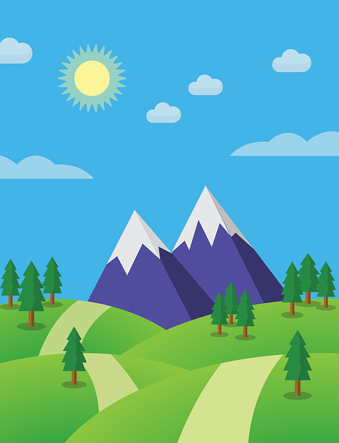 Tour and Travel Company