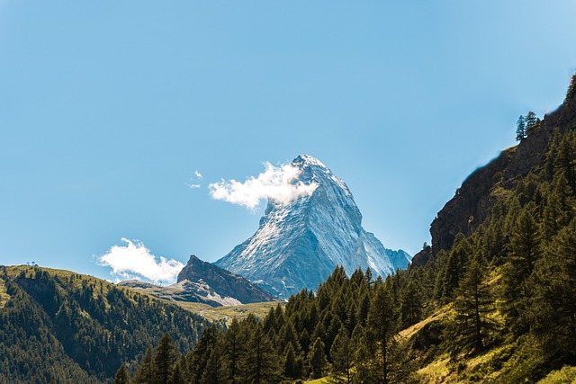 Tour and Travel Company