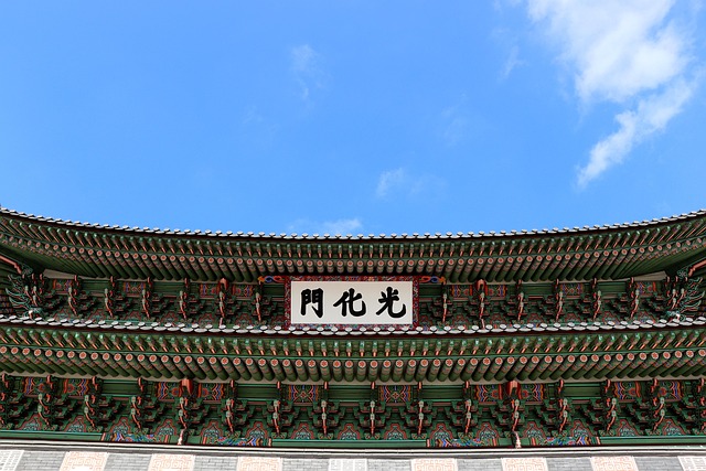 Tour and Travel Company