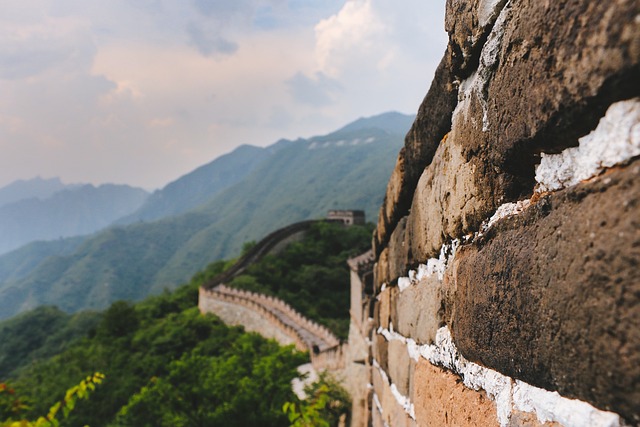 Tour and Travel Company