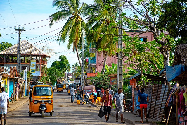 Tour and Travel Company