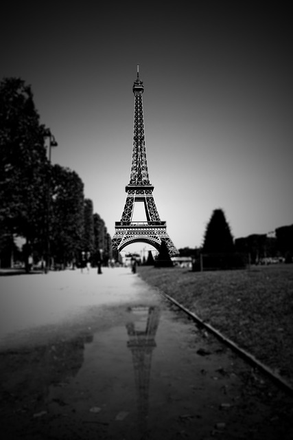 Tour and Travel Company