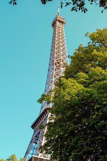 Tour and Travel Company