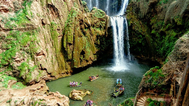 Tour and Travel Company