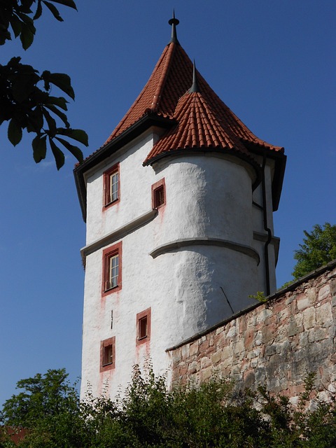 Tour and Travel Company