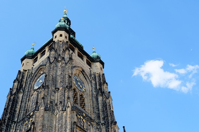Tour and Travel Company