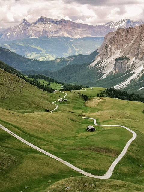 Tour and Travel Company