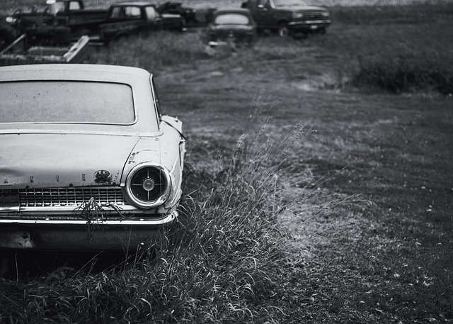 tour by car