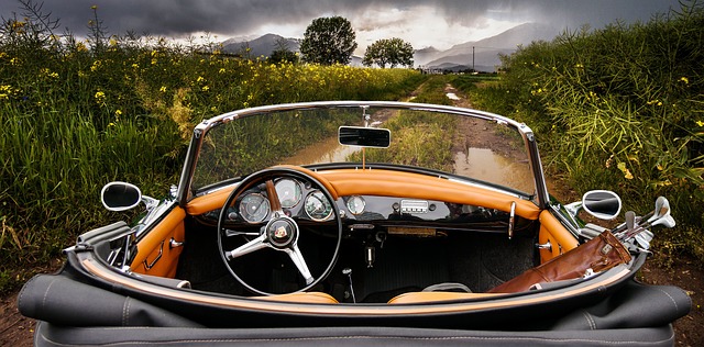 tour by car