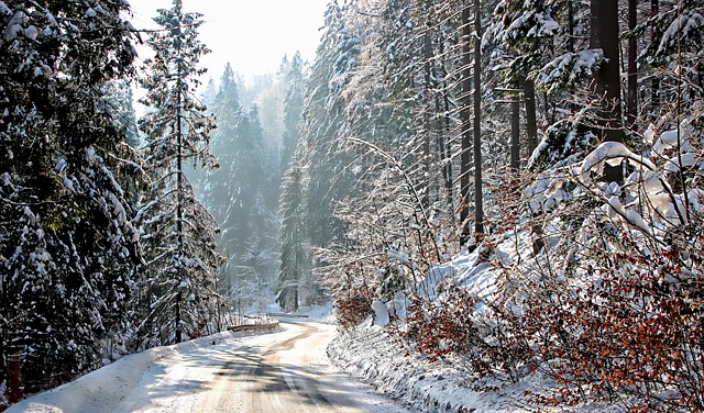 tour by car
