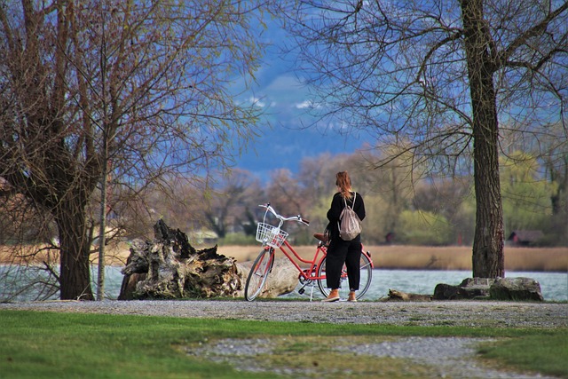 Tour Operator
