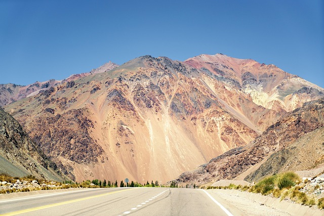 Tour Travel Agency