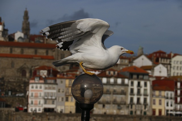 tours