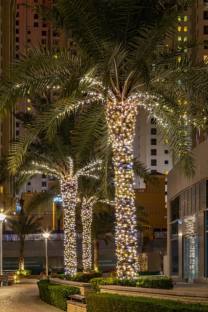 Efficient Travel: Mastering Direct Transfer Dubai Airport Services