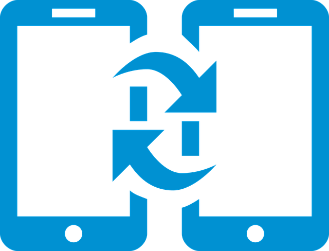 transfer dubai to abu dhabi