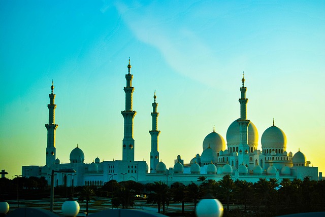 transfer dubai to abu dhabi