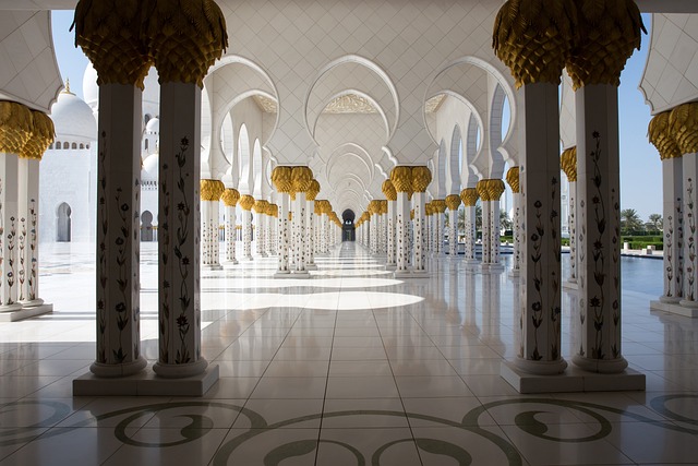 transfer dubai to abu dhabi