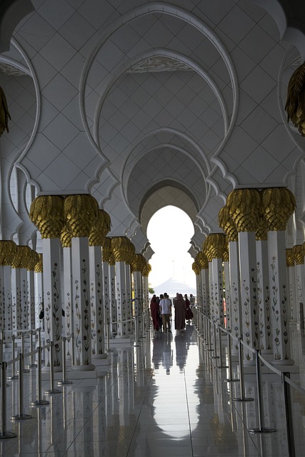 transfer from abu dhabi to dubai