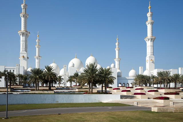 transfer transfer abu dhabi to dubai
