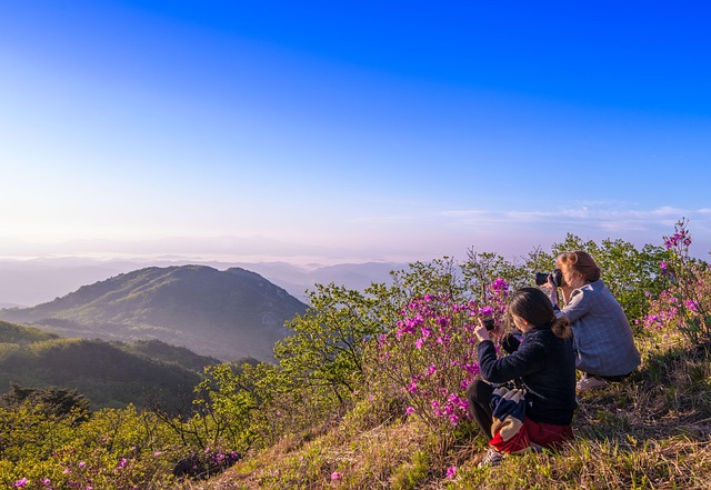 Travel and Tours Agency