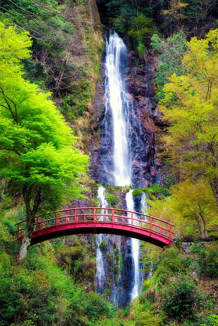 Travel and Tours Agency