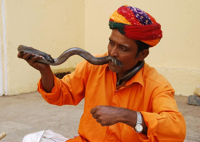travel-and-tours-agency-640x480-72865206.jpeg