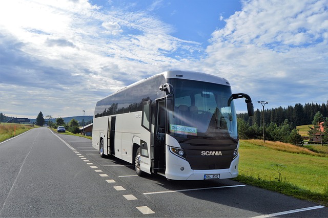 Travel and Tours Agency
