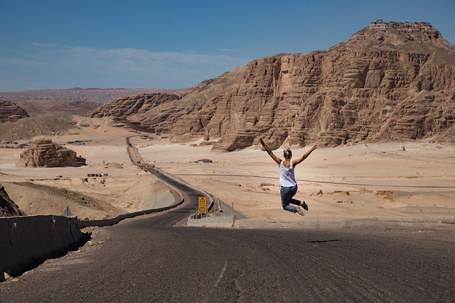 vip desert