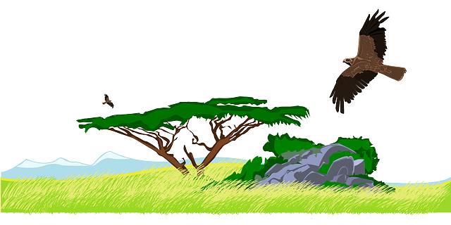 vip desert