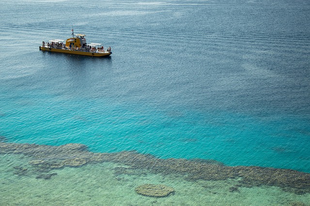 yacht charter