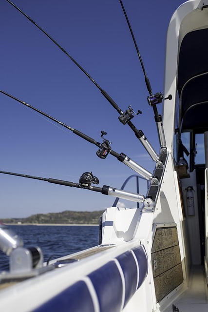 yacht charter