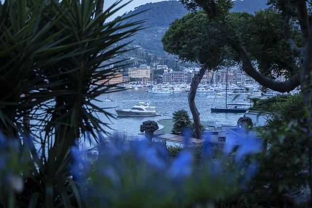 yacht hire