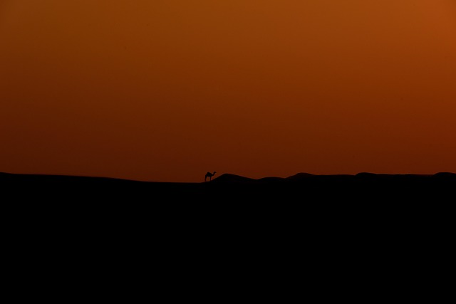 Arabian Ranches