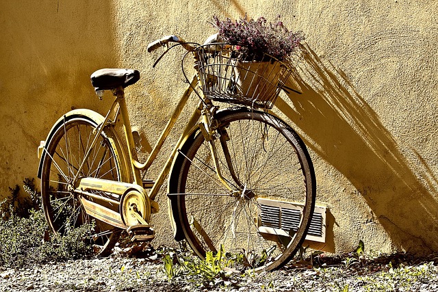 bike desert