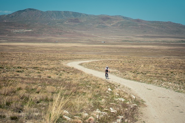 bike-desert-640x480-73874122.jpeg